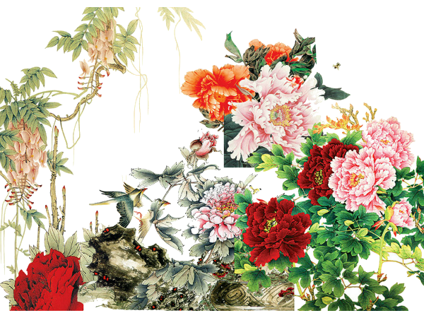 國色天香，優(yōu)雅綻放 解析《牡丹花》PNG免摳圖素材的藝術(shù)價(jià)值與應(yīng)用場景