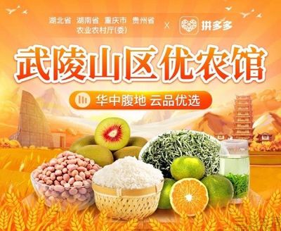 拼多多上線“武陵山區優農館”，助力食用農產品上行與鄉村振興